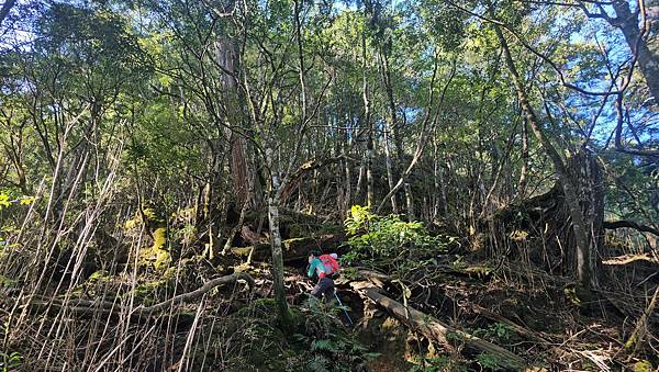 【西巒大山】挑戰百岳編號91｜從黑夜出發，遠望日月潭的黎明之