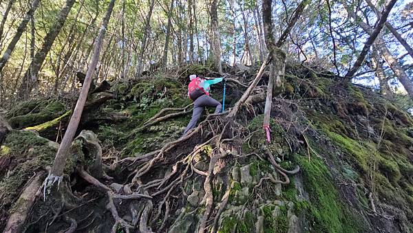 【西巒大山】挑戰百岳編號91｜從黑夜出發，遠望日月潭的黎明之