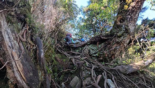 【西巒大山】挑戰百岳編號91｜從黑夜出發，遠望日月潭的黎明之