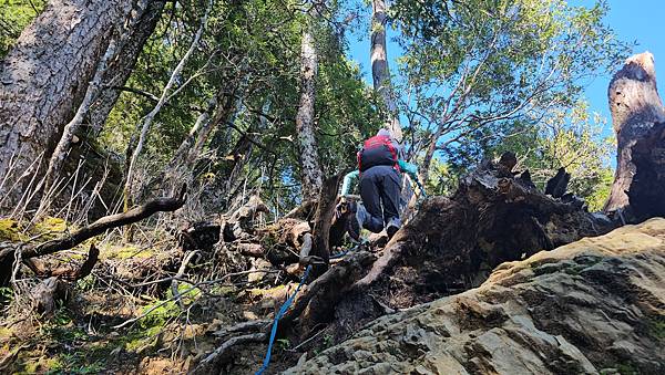 【西巒大山】挑戰百岳編號91｜從黑夜出發，遠望日月潭的黎明之