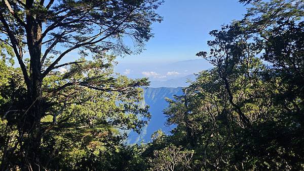 【西巒大山】挑戰百岳編號91｜從黑夜出發，遠望日月潭的黎明之