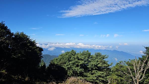 【西巒大山】挑戰百岳編號91｜從黑夜出發，遠望日月潭的黎明之