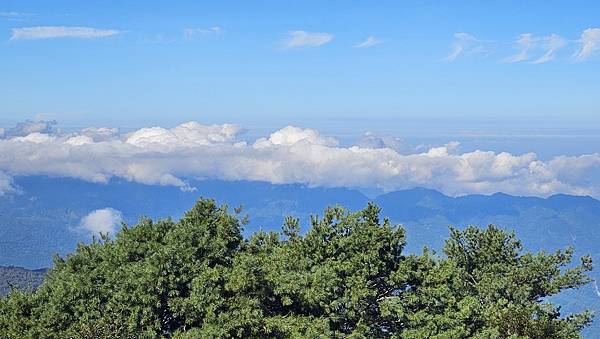 【西巒大山】挑戰百岳編號91｜從黑夜出發，遠望日月潭的黎明之