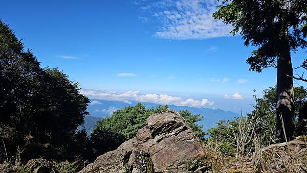 【西巒大山】挑戰百岳編號91｜從黑夜出發，遠望日月潭的黎明之