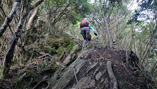 【西巒大山】挑戰百岳編號91｜從黑夜出發，遠望日月潭的黎明之