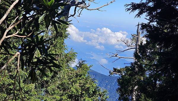 【西巒大山】挑戰百岳編號91｜從黑夜出發，遠望日月潭的黎明之