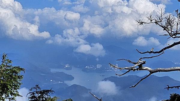 【西巒大山】挑戰百岳編號91｜從黑夜出發，遠望日月潭的黎明之