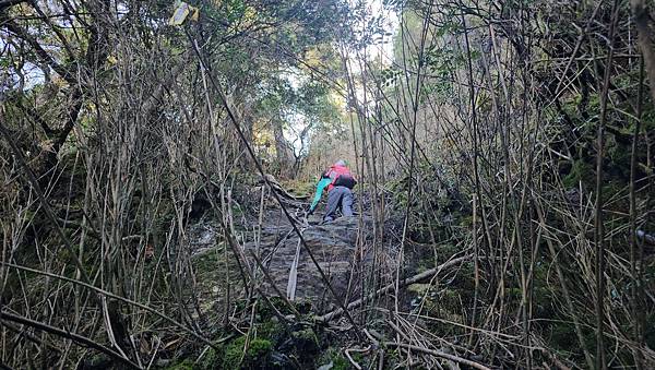 【西巒大山】挑戰百岳編號91｜從黑夜出發，遠望日月潭的黎明之