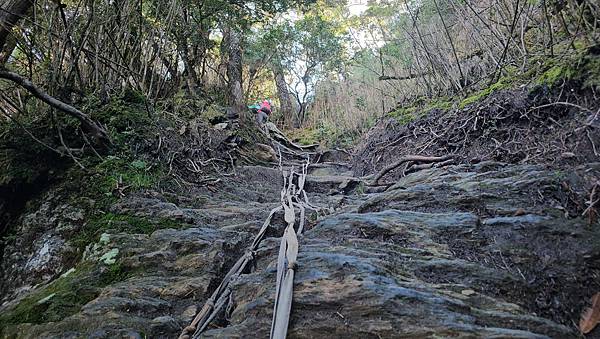 【西巒大山】挑戰百岳編號91｜從黑夜出發，遠望日月潭的黎明之