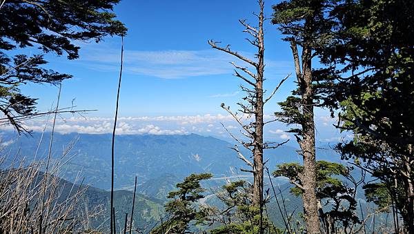 【西巒大山】挑戰百岳編號91｜從黑夜出發，遠望日月潭的黎明之