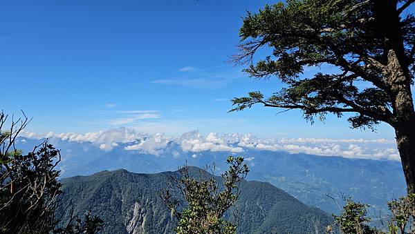 【西巒大山】挑戰百岳編號91｜從黑夜出發，遠望日月潭的黎明之