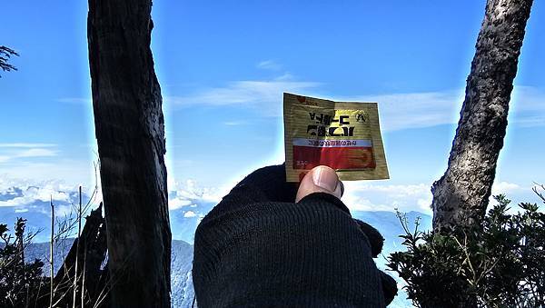 【西巒大山】挑戰百岳編號91｜從黑夜出發，遠望日月潭的黎明之