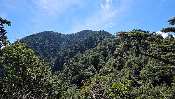【西巒大山】挑戰百岳編號91｜從黑夜出發，遠望日月潭的黎明之