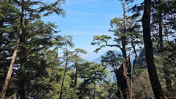 【西巒大山】挑戰百岳編號91｜從黑夜出發，遠望日月潭的黎明之