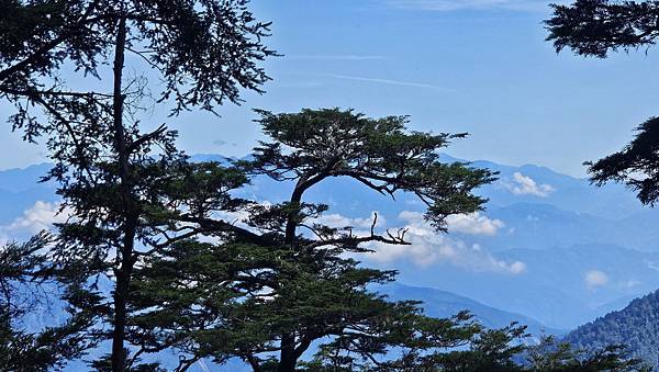 【西巒大山】挑戰百岳編號91｜從黑夜出發，遠望日月潭的黎明之