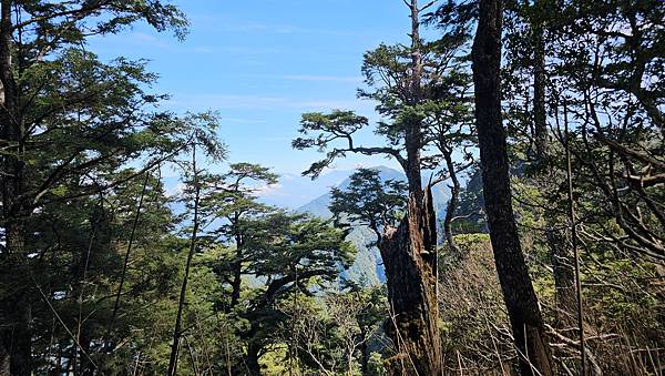 【西巒大山】挑戰百岳編號91｜從黑夜出發，遠望日月潭的黎明之