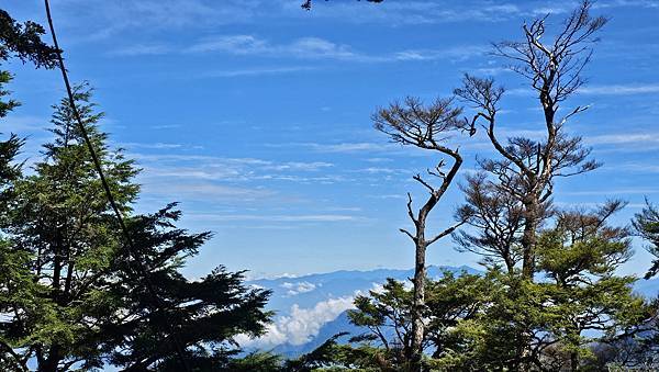 【西巒大山】挑戰百岳編號91｜從黑夜出發，遠望日月潭的黎明之