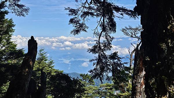 【西巒大山】挑戰百岳編號91｜從黑夜出發，遠望日月潭的黎明之