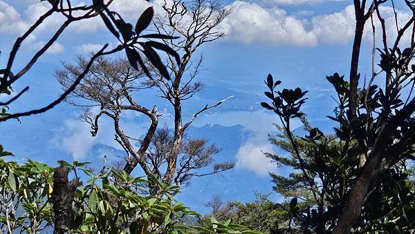 【西巒大山】挑戰百岳編號91｜從黑夜出發，遠望日月潭的黎明之