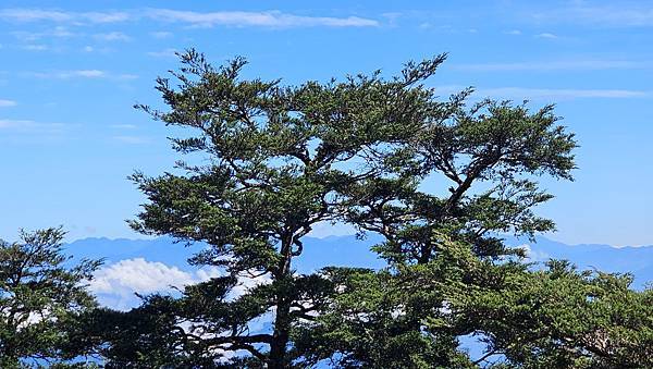 【西巒大山】挑戰百岳編號91｜從黑夜出發，遠望日月潭的黎明之