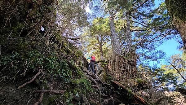 【西巒大山】挑戰百岳編號91｜從黑夜出發，遠望日月潭的黎明之