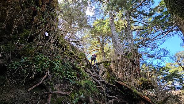 【西巒大山】挑戰百岳編號91｜從黑夜出發，遠望日月潭的黎明之