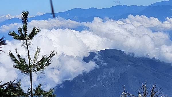 【西巒大山】挑戰百岳編號91｜從黑夜出發，遠望日月潭的黎明之