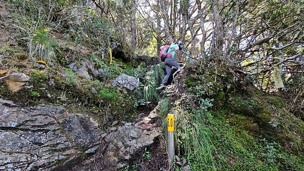 【西巒大山】挑戰百岳編號91｜從黑夜出發，遠望日月潭的黎明之