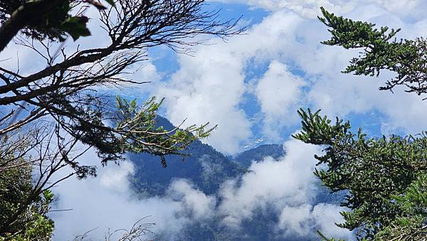 【西巒大山】挑戰百岳編號91｜從黑夜出發，遠望日月潭的黎明之