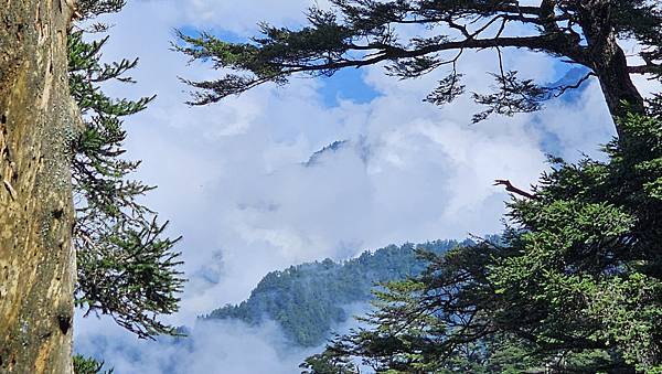 【西巒大山】挑戰百岳編號91｜從黑夜出發，遠望日月潭的黎明之