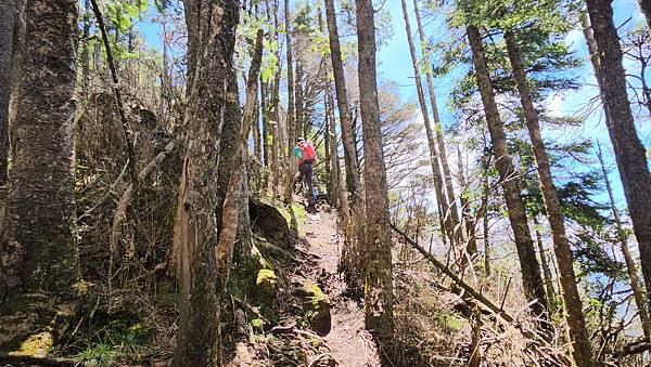 【西巒大山】挑戰百岳編號91｜從黑夜出發，遠望日月潭的黎明之