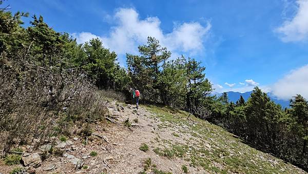 【西巒大山】挑戰百岳編號91｜從黑夜出發，遠望日月潭的黎明之