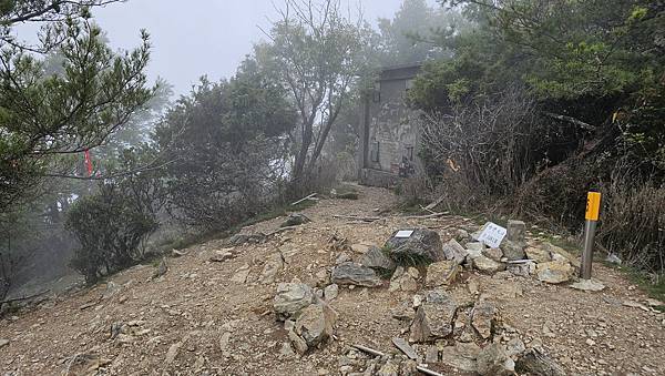 【西巒大山】挑戰百岳編號91｜從黑夜出發，遠望日月潭的黎明之
