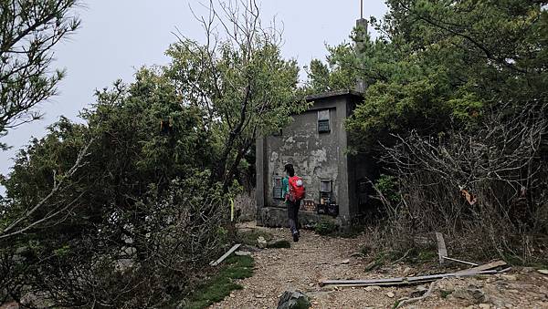 【西巒大山】挑戰百岳編號91｜從黑夜出發，遠望日月潭的黎明之