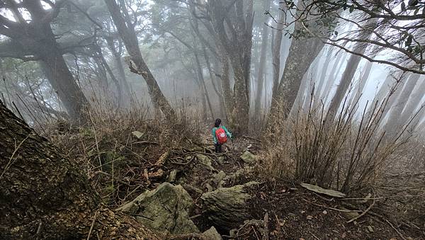 【西巒大山】挑戰百岳編號91｜從黑夜出發，遠望日月潭的黎明之