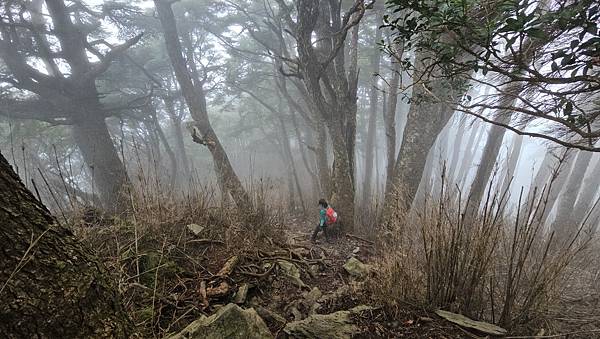 【西巒大山】挑戰百岳編號91｜從黑夜出發，遠望日月潭的黎明之