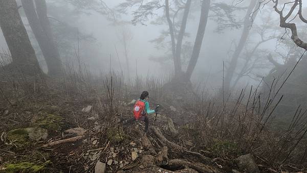 【西巒大山】挑戰百岳編號91｜從黑夜出發，遠望日月潭的黎明之