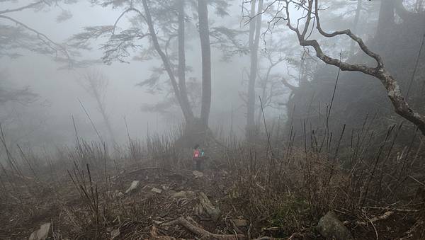【西巒大山】挑戰百岳編號91｜從黑夜出發，遠望日月潭的黎明之