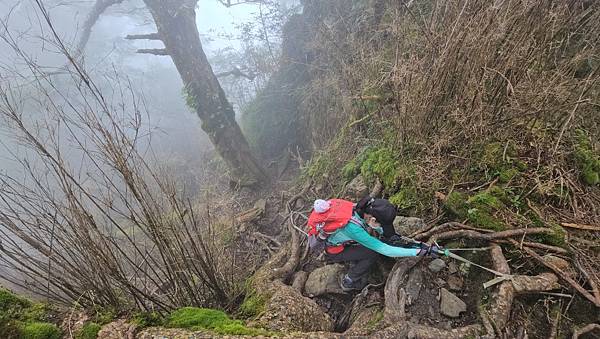 【西巒大山】挑戰百岳編號91｜從黑夜出發，遠望日月潭的黎明之