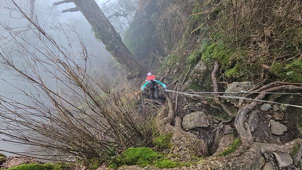 【西巒大山】挑戰百岳編號91｜從黑夜出發，遠望日月潭的黎明之