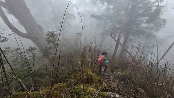 【西巒大山】挑戰百岳編號91｜從黑夜出發，遠望日月潭的黎明之