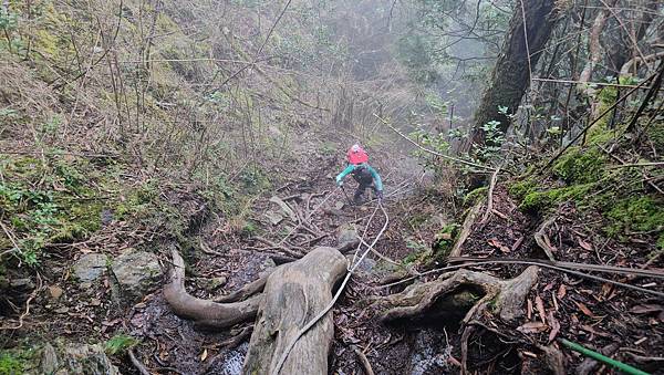 【西巒大山】挑戰百岳編號91｜從黑夜出發，遠望日月潭的黎明之