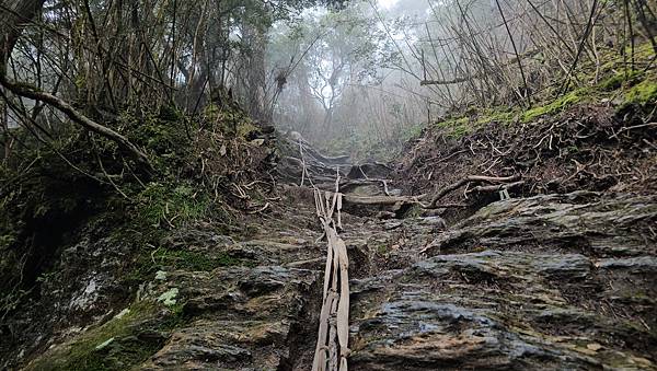 【西巒大山】挑戰百岳編號91｜從黑夜出發，遠望日月潭的黎明之