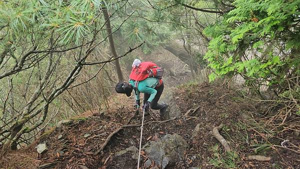 【西巒大山】挑戰百岳編號91｜從黑夜出發，遠望日月潭的黎明之