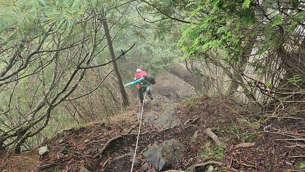 【西巒大山】挑戰百岳編號91｜從黑夜出發，遠望日月潭的黎明之