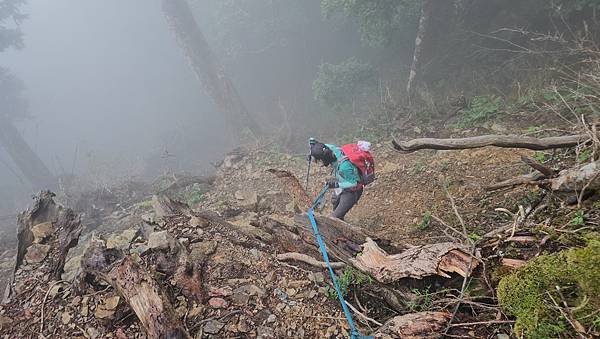 【西巒大山】挑戰百岳編號91｜從黑夜出發，遠望日月潭的黎明之