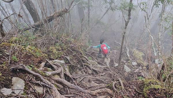 【西巒大山】挑戰百岳編號91｜從黑夜出發，遠望日月潭的黎明之