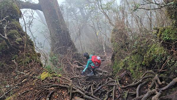 【西巒大山】挑戰百岳編號91｜從黑夜出發，遠望日月潭的黎明之