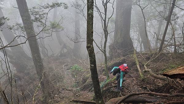 【西巒大山】挑戰百岳編號91｜從黑夜出發，遠望日月潭的黎明之