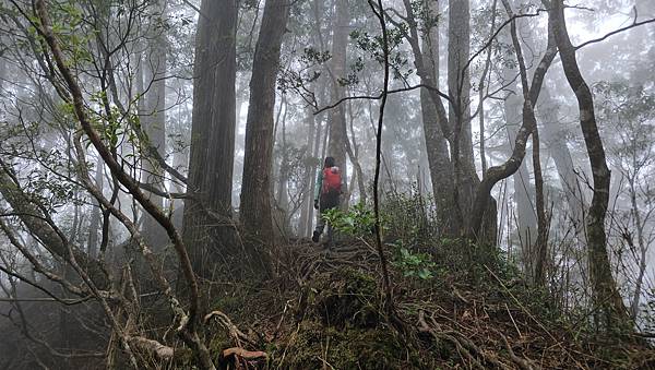 【西巒大山】挑戰百岳編號91｜從黑夜出發，遠望日月潭的黎明之